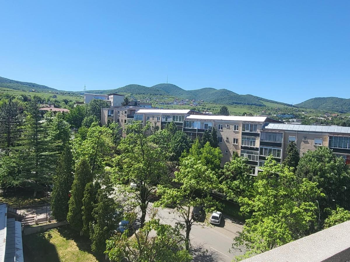 Apartament In Regim Hotelier דבה מראה חיצוני תמונה
